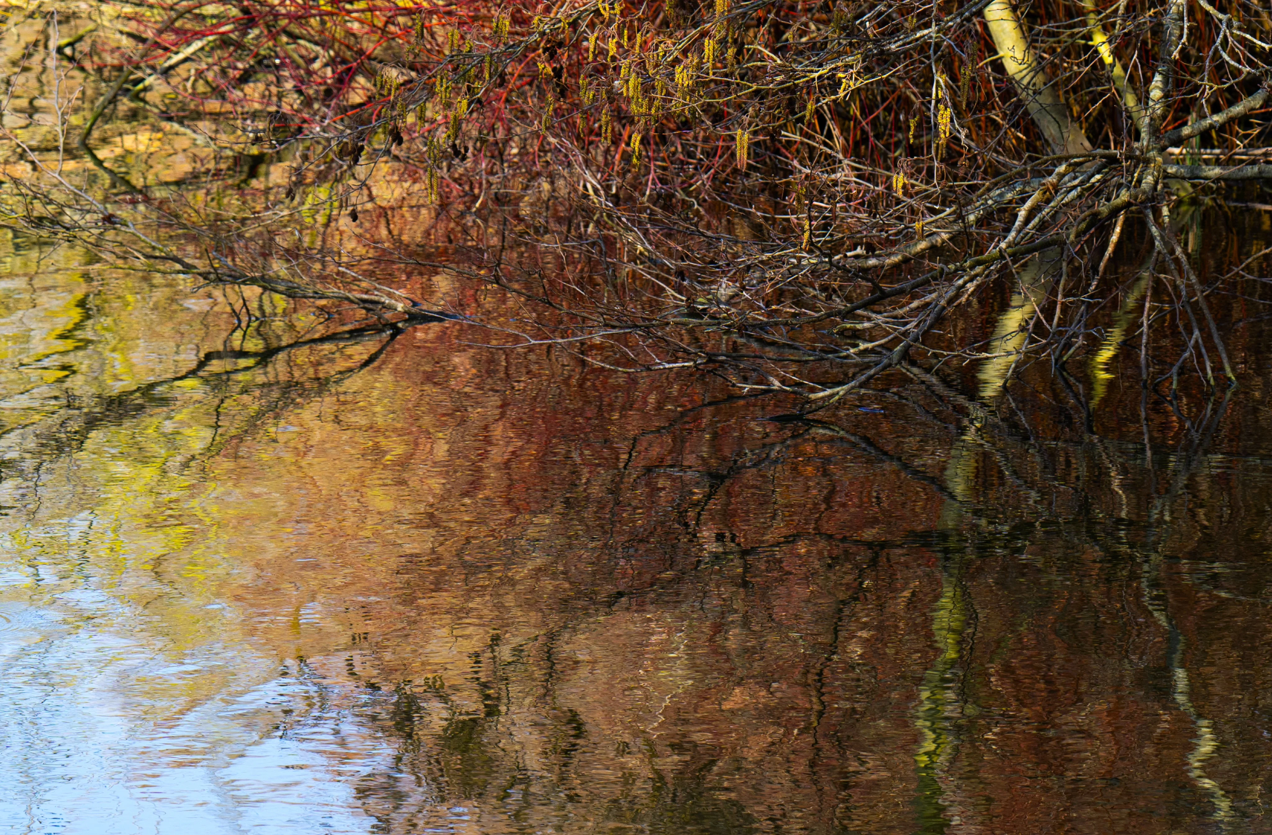 15 les feux de l automne