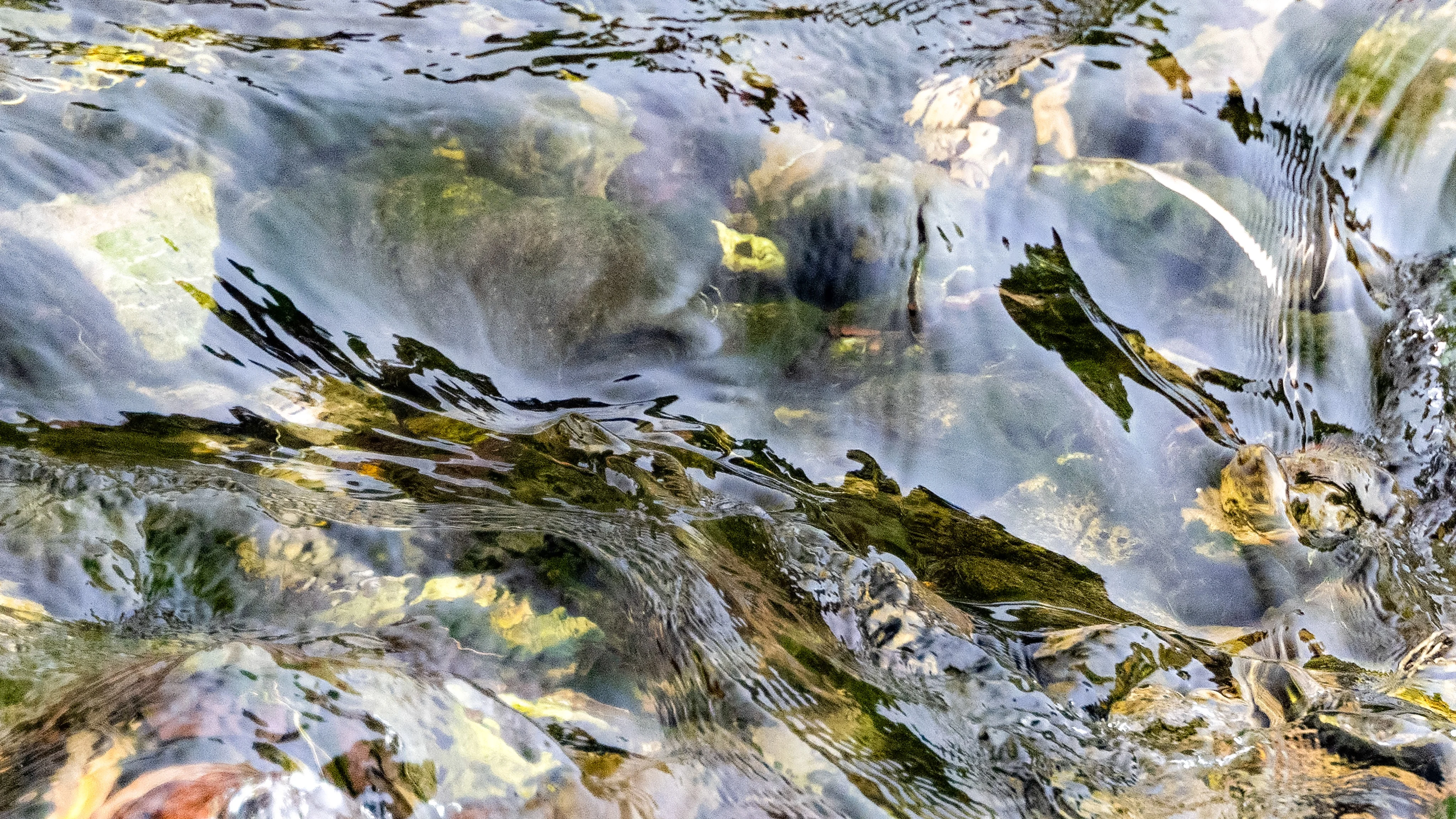 16 aquarium