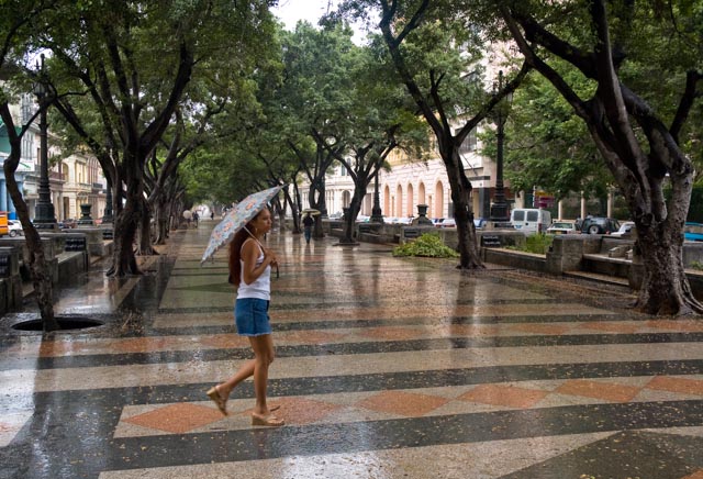 La passante de la pluie @Cjy