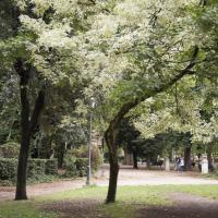 allee du reve-46