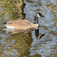 D7361cf8 1377 441a a060 5ffcc37702f4