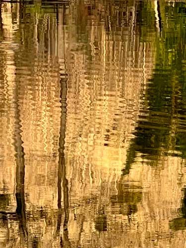 coulures d'or