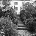 L'atelier de Renoir