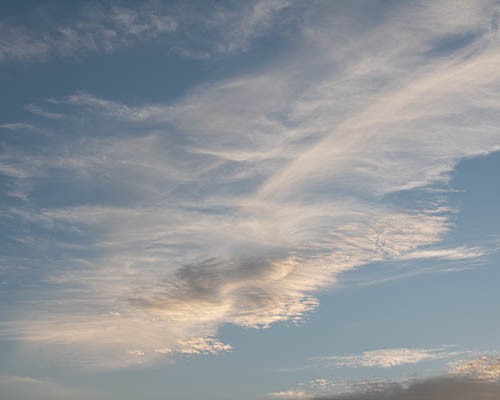 La plume du poète