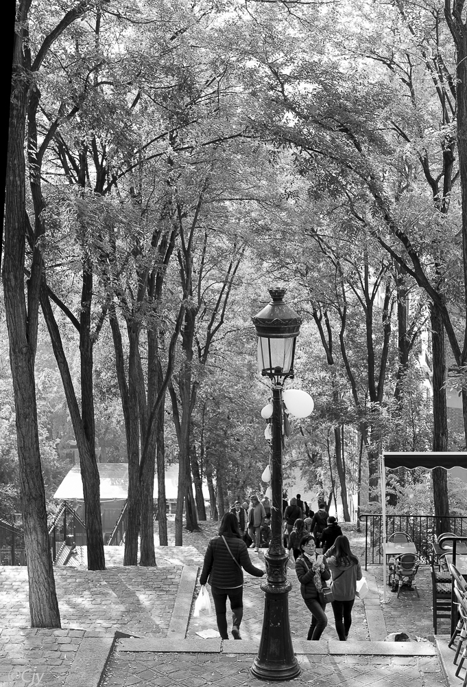 Escalier Notre Dame