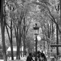 Escalier Notre Dame