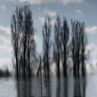 Sombre allée