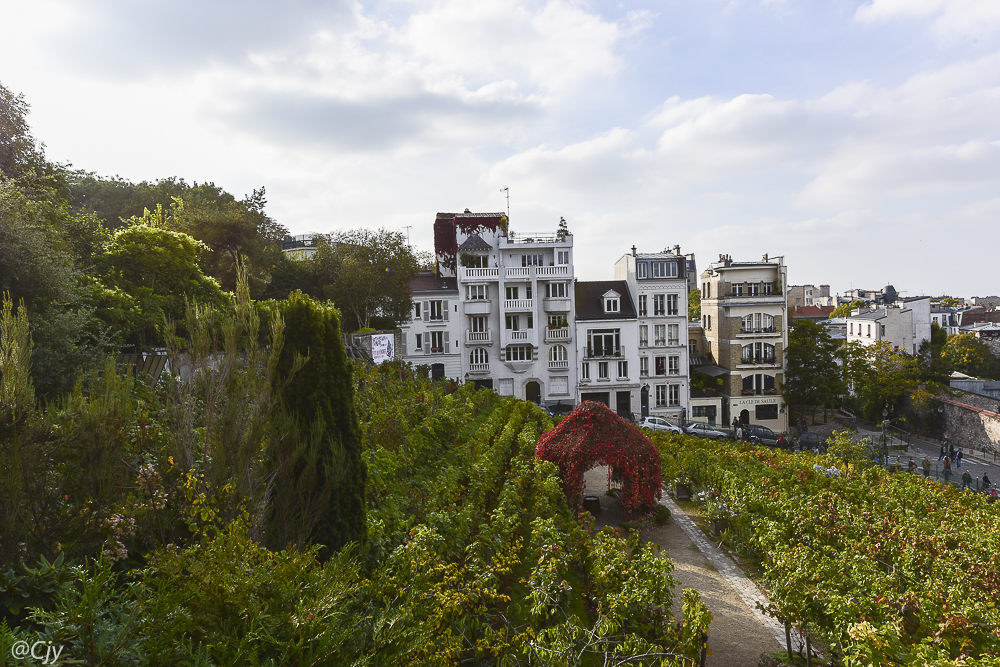 La Vigne de Montmartre