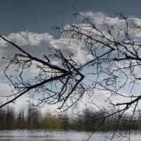 Le temps suspend son vol