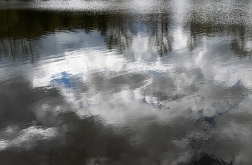 Froidure