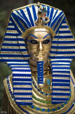 Venise 2015