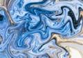 Une aigrette bleue
