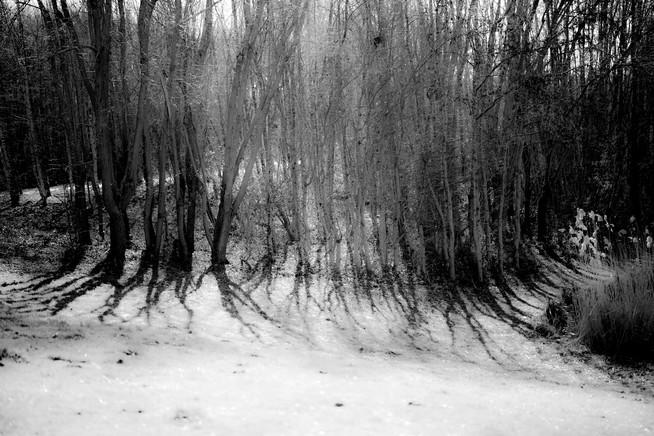 Terre et Racines